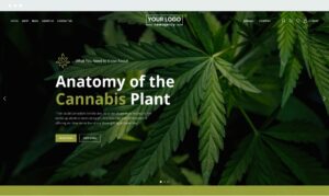 Medical Marijuana Shop